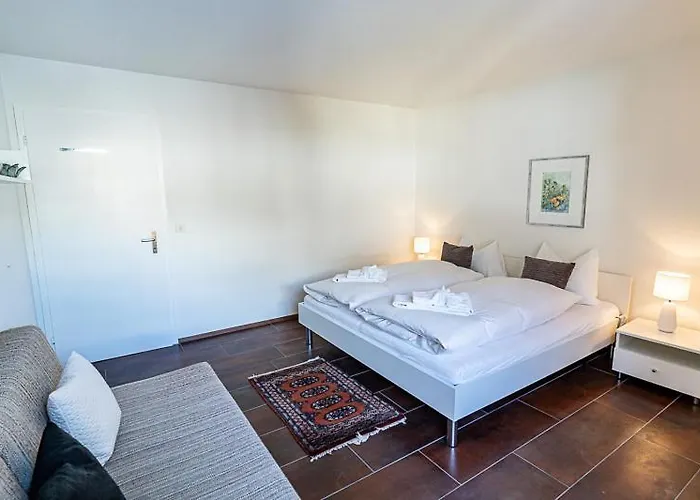 Apartment Edelweiss Casa Surmir *